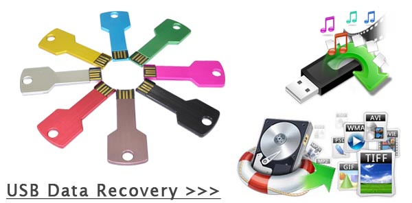 usb flash drive data recovery hardware